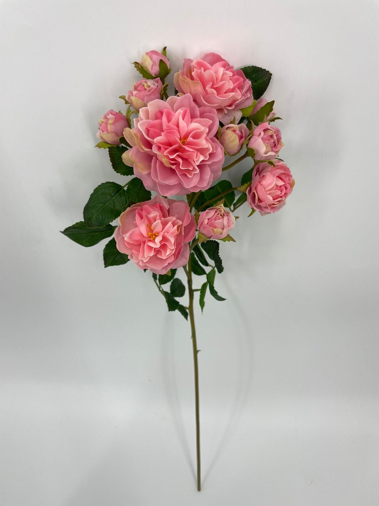 FN20075 SPRAY ROSE (NAT)  21"