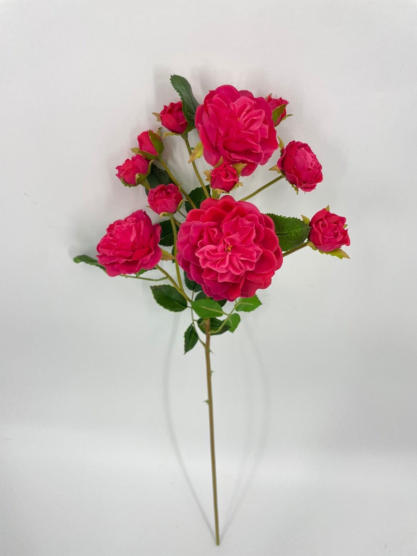FN20075 SPRAY ROSE (NAT)  21"