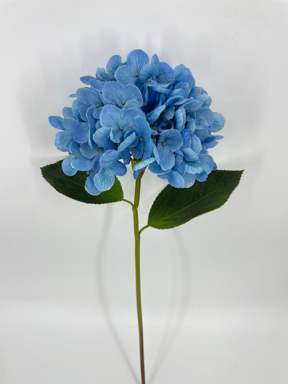 FN20076 HYDRANGEA (NAT)  22"