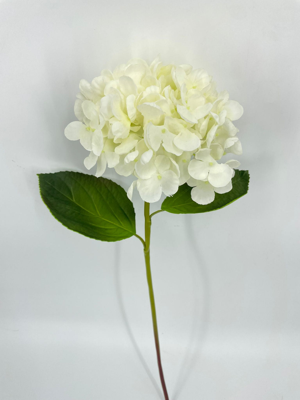 FN20076 HYDRANGEA (NAT)  22"