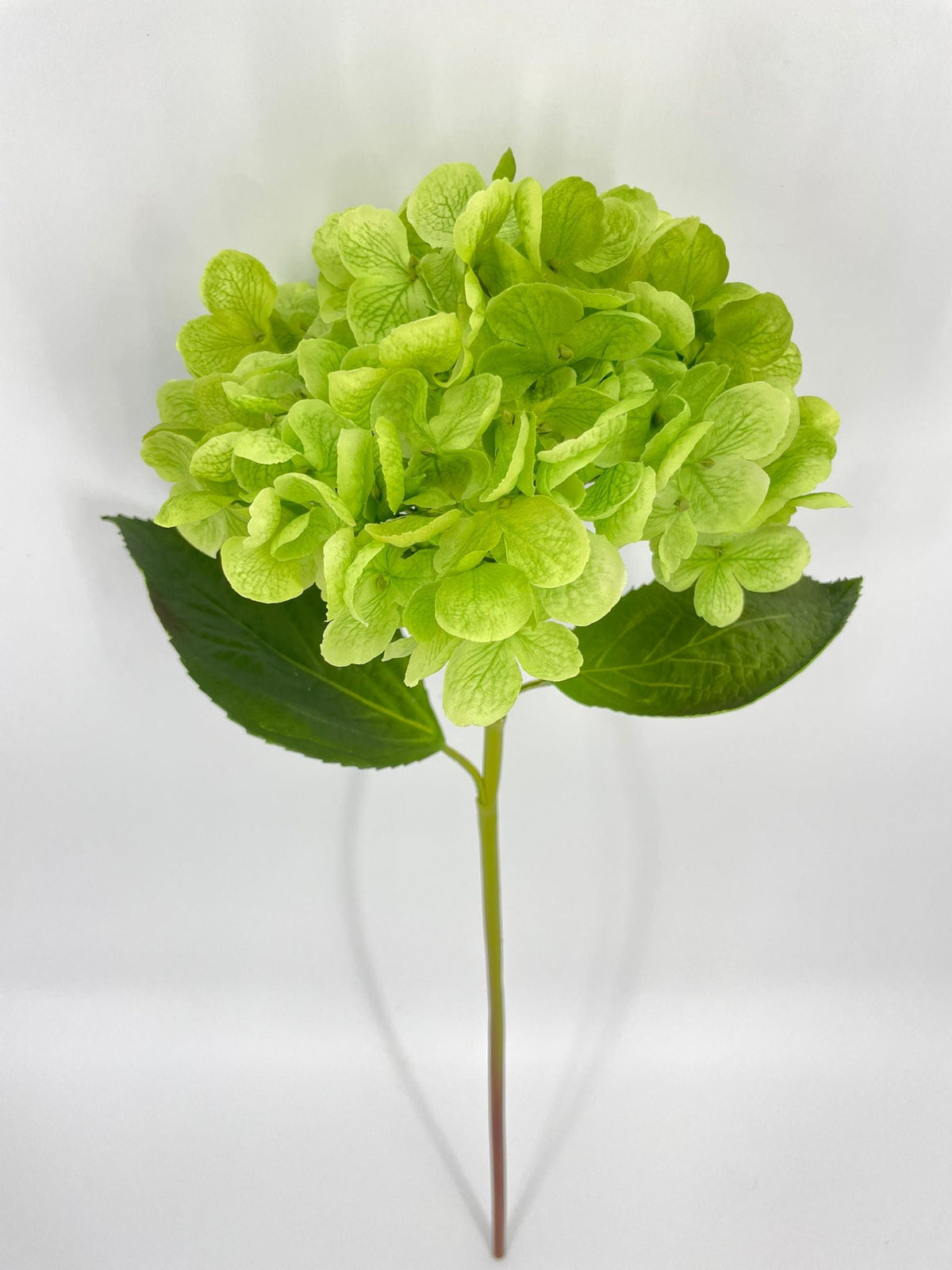 FN20076 HYDRANGEA (NAT)  22"