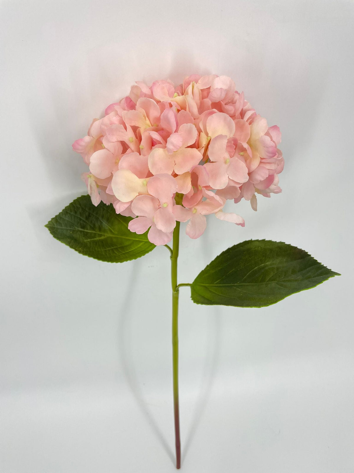 FN20076 HYDRANGEA (NAT)  22"