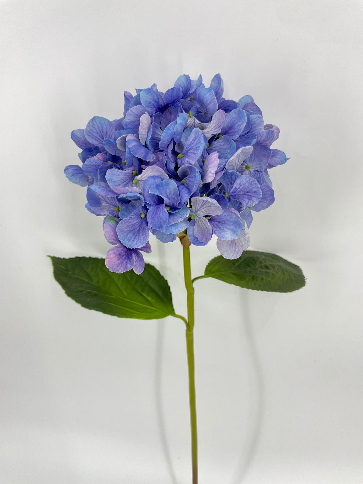 FN20076 HYDRANGEA (NAT)  22"