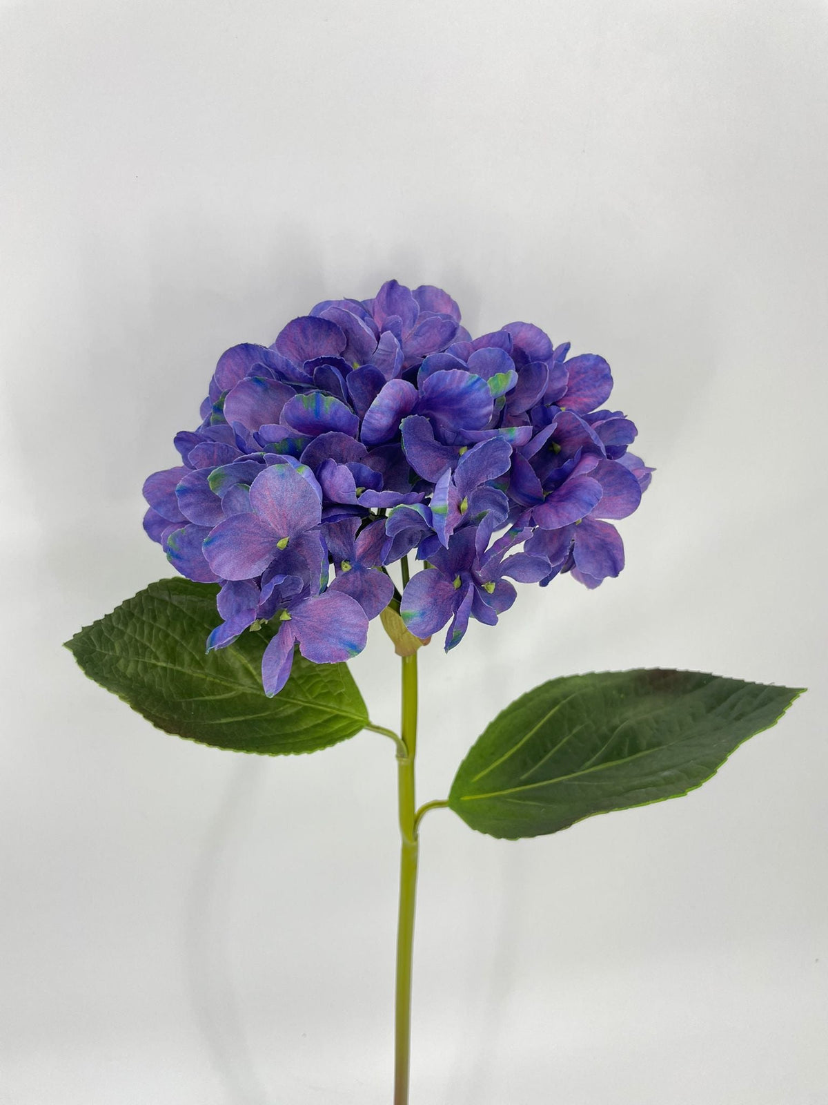 FN20076 HYDRANGEA (NAT)  22"
