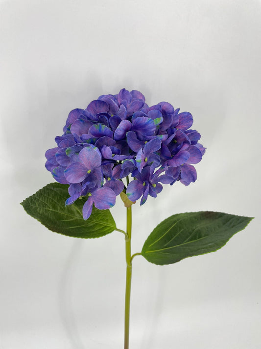 FN20076 HYDRANGEA (NAT)  22"