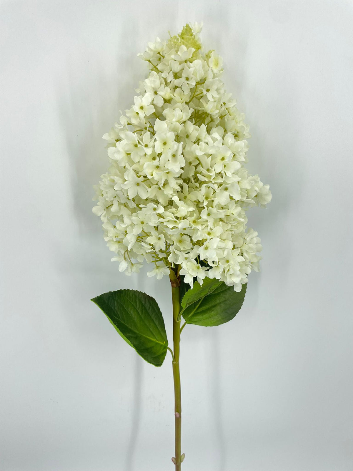 FN20078 GIANT PG HYDRANGEA (NAT)  42"