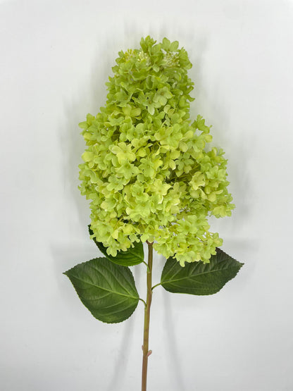 FN20078 GIANT PG HYDRANGEA (NAT)  42"