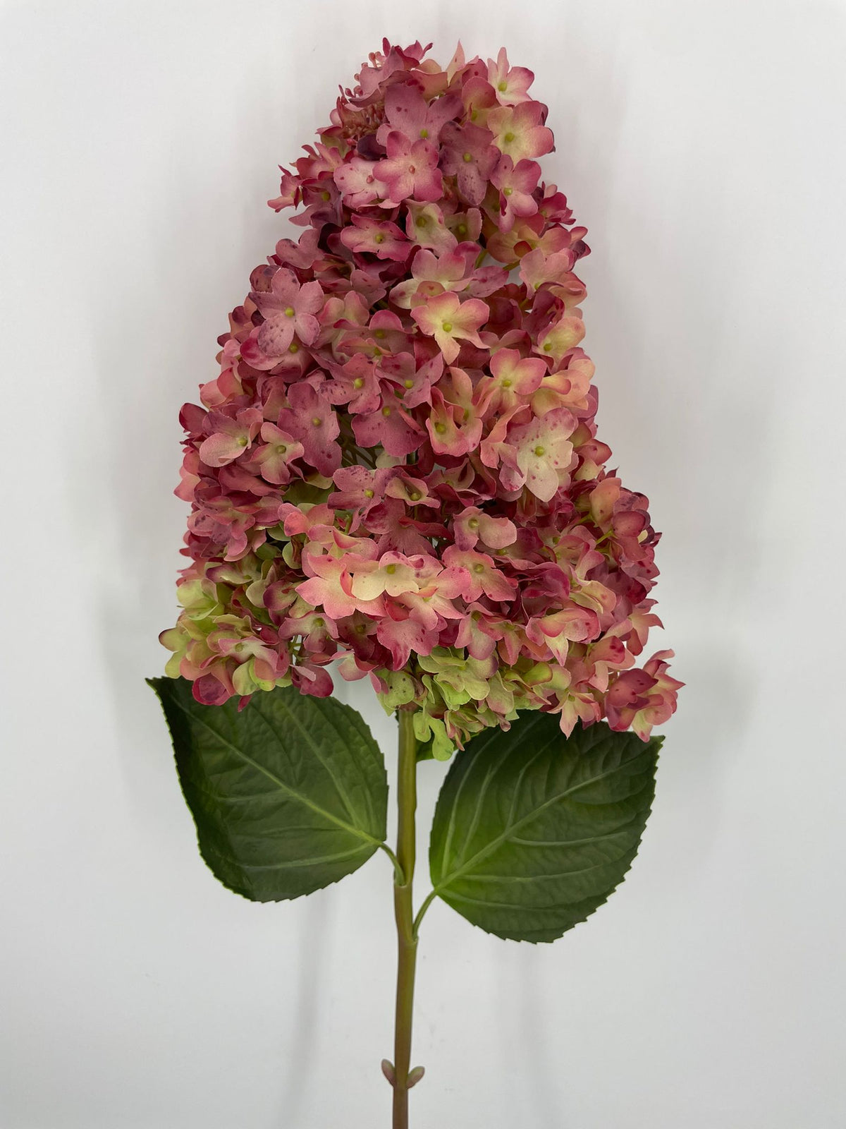 FN20078 GIANT PG HYDRANGEA (NAT)  42"
