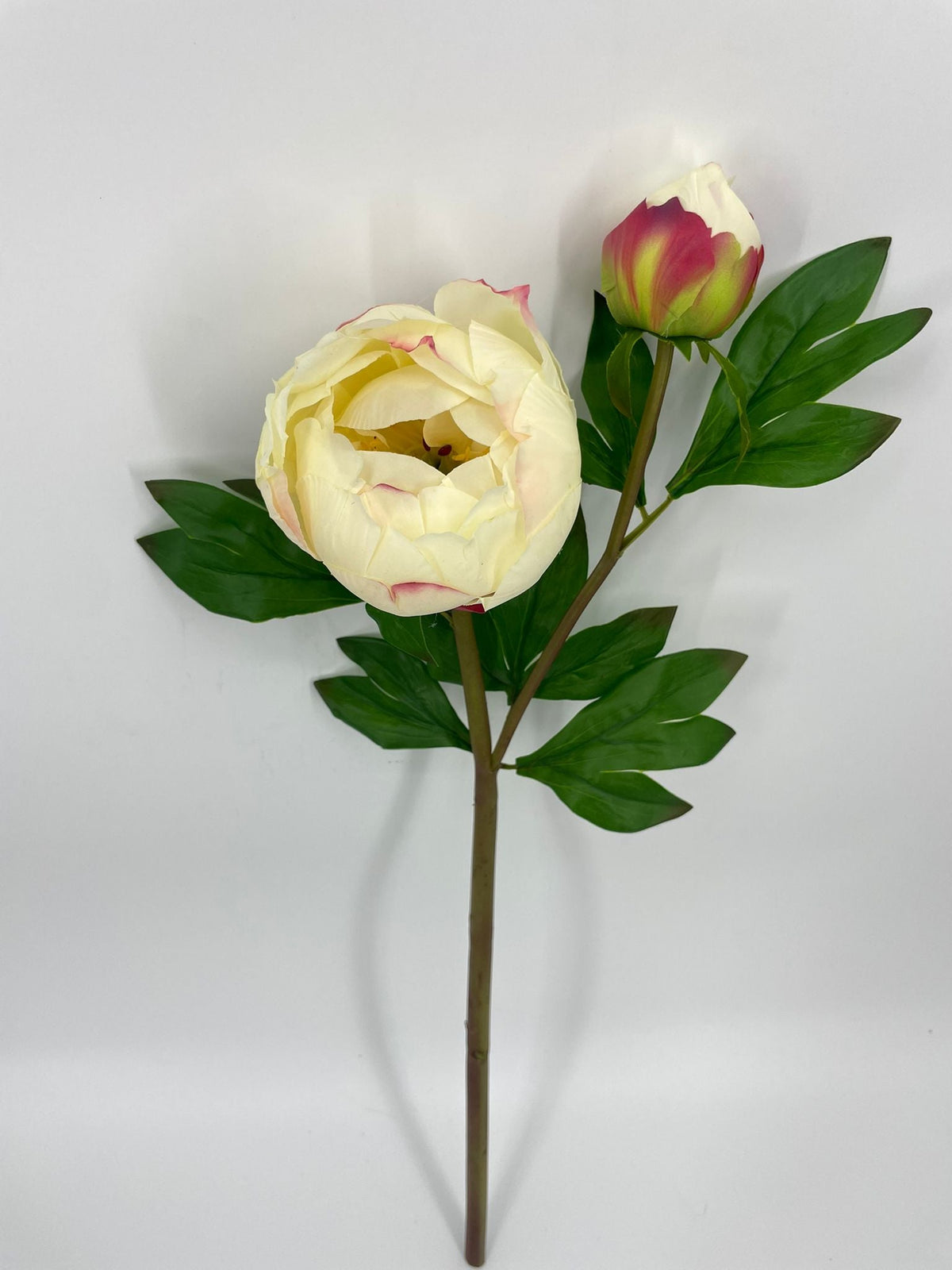 FN20080 PEONY BUD SPRAYx2 (NAT)  24"