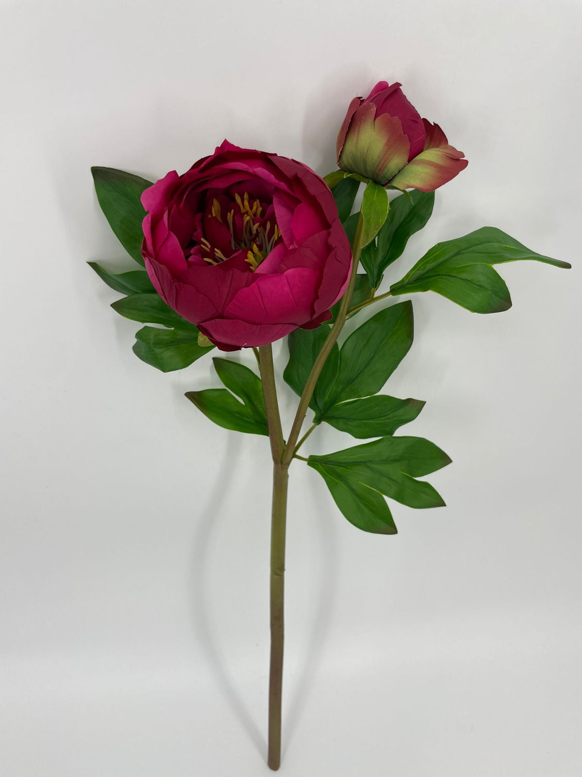 FN20080 PEONY BUD SPRAYx2 (NAT)  24"