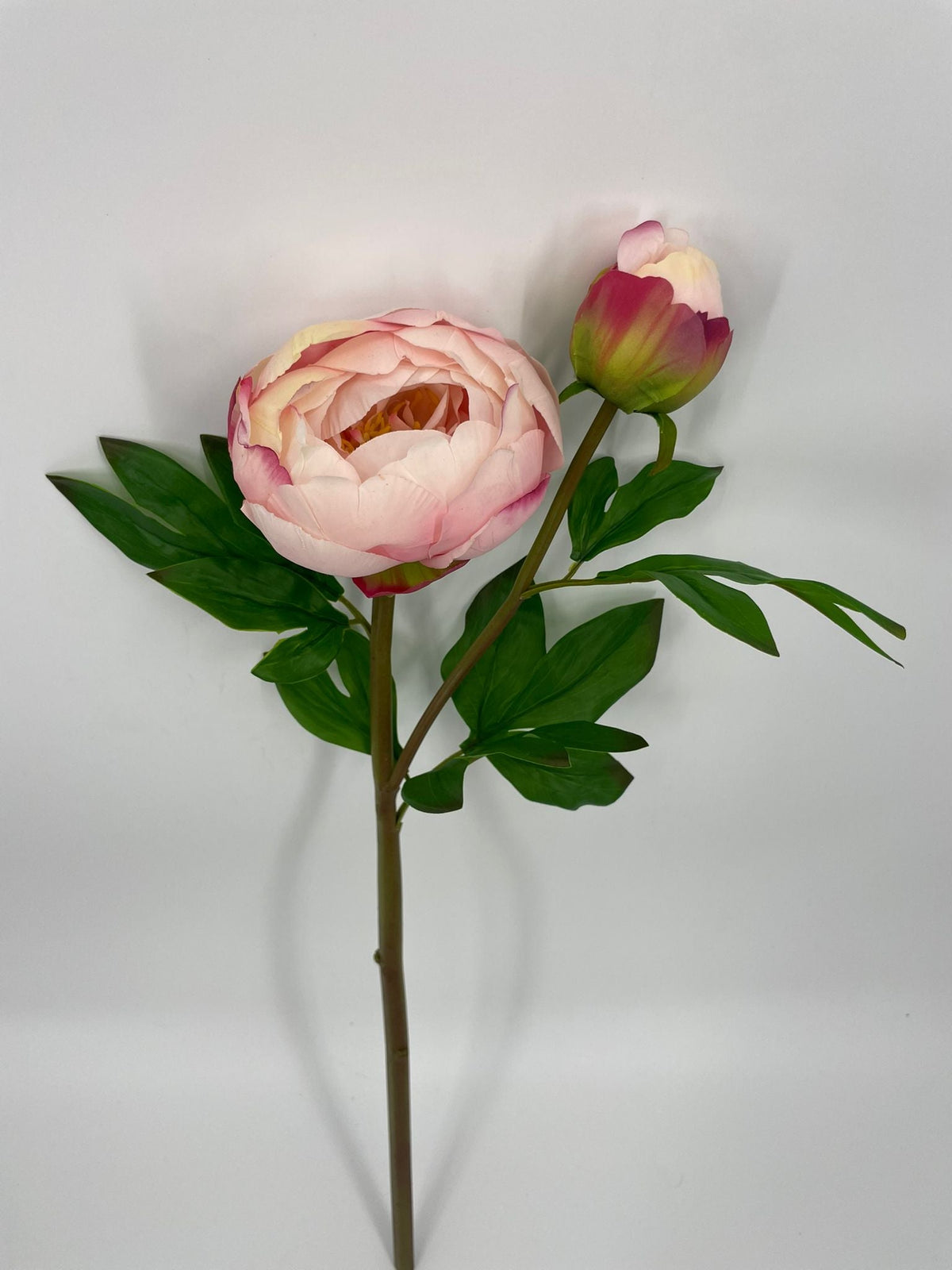 FN20080 PEONY BUD SPRAYx2 (NAT)  24"