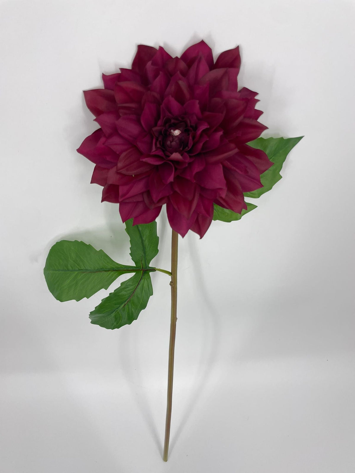 FN20081 DAHLIA (NAT)  27"