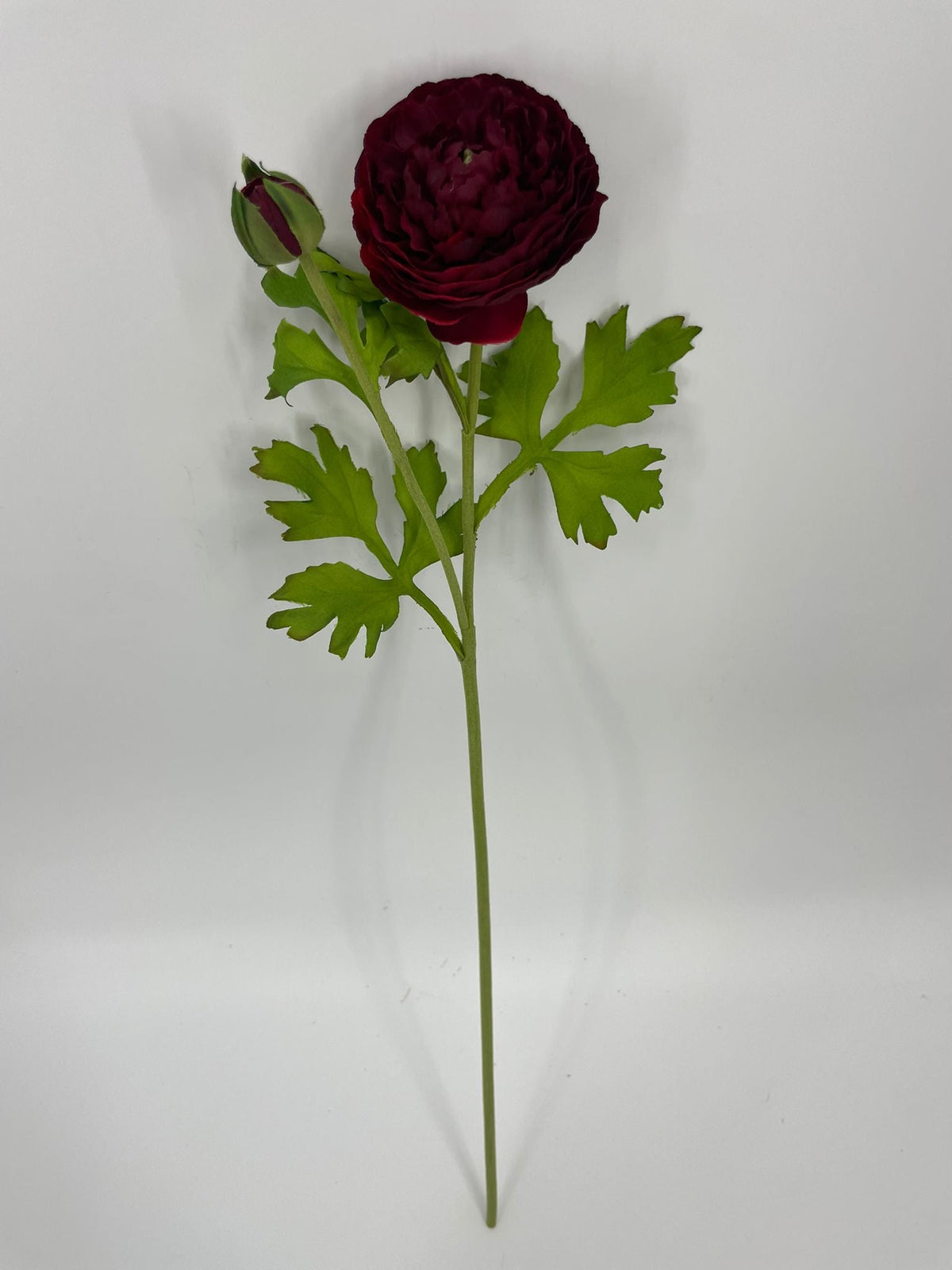 FN20082 RANUNCULUS SPRAYx1F1B (NAT)  22"