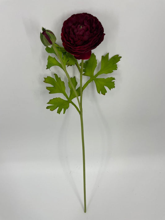 FN20082 RANUNCULUS SPRAYx1F1B (NAT)  22"