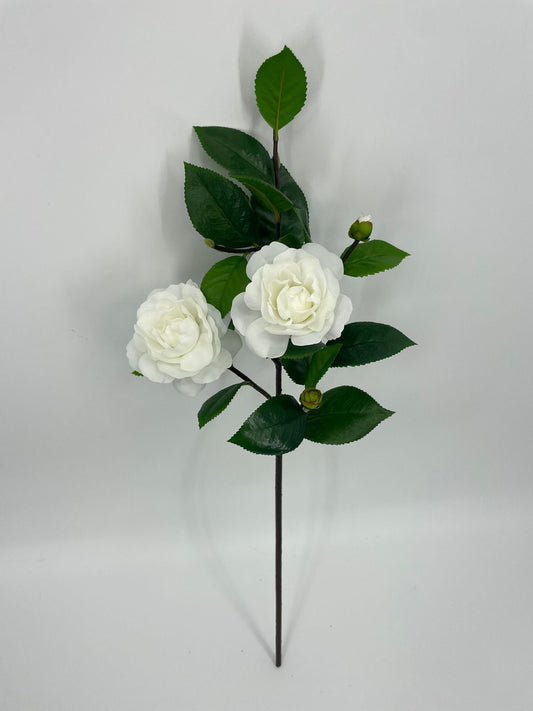 FN20083 CAMELLIA SPRAYx2F3B (NAT)  27"
