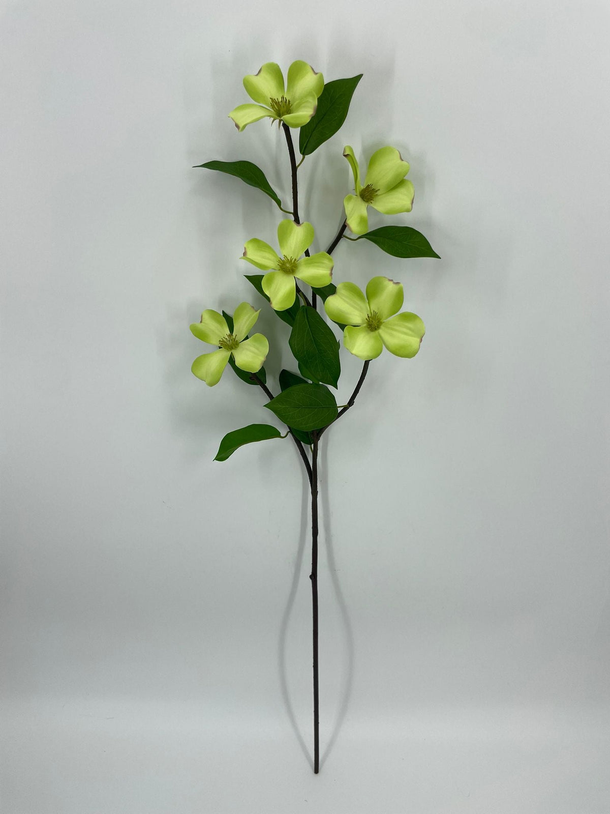 FN20084 DOGWOOD SPRAY (NAT)  36"