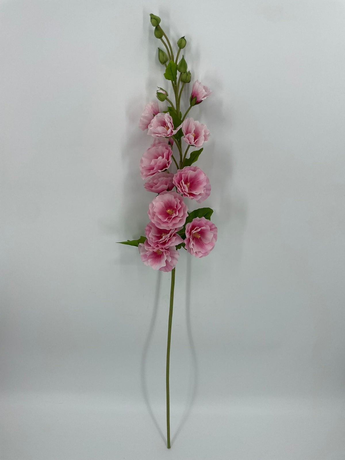 FN20086 HOLLY HOCK (NAT)  42"