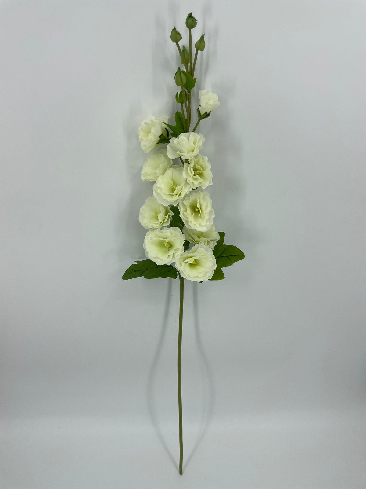 FN20086 HOLLY HOCK (NAT)  42"
