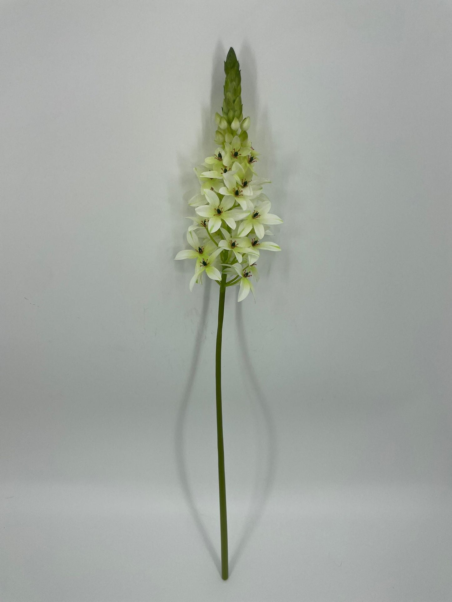 FN20087 PRIMROSE SPRAY (NAT)  28"