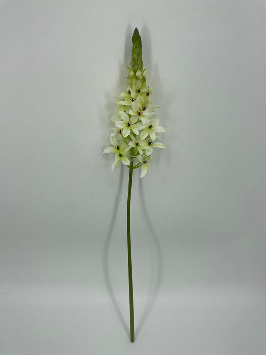 FN20087 PRIMROSE SPRAY (NAT)  28"