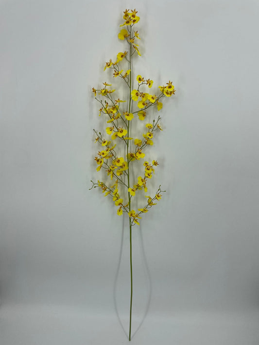 FN20090 ONCIDIUM SPRAY (NAT)  48"