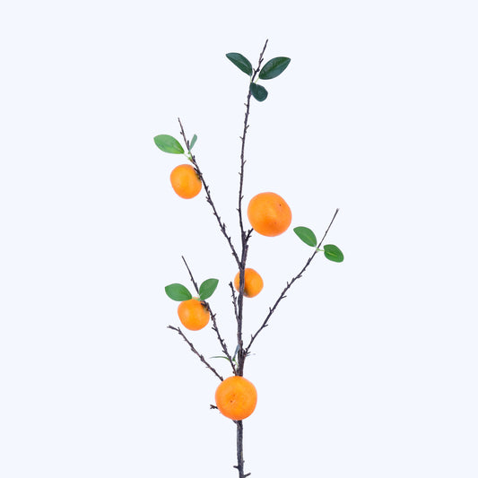FR10030 ORANGE BRANCHx5F,43.5in-12P