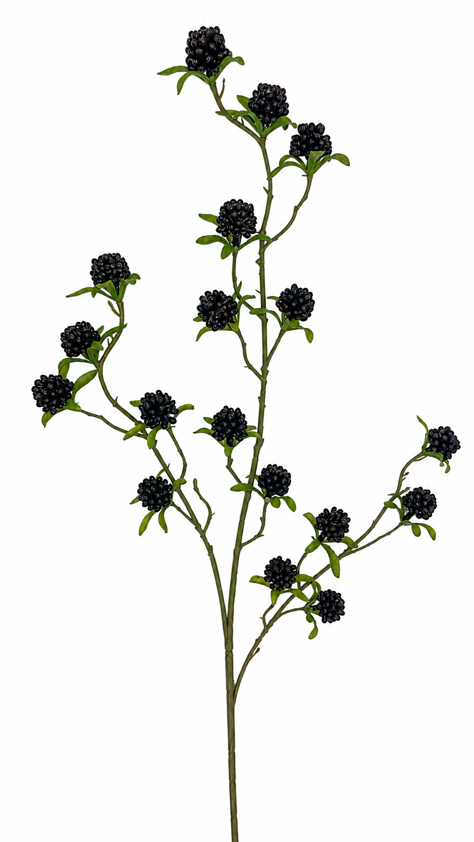 FR10071 RASPBERRY SPRAY 31"