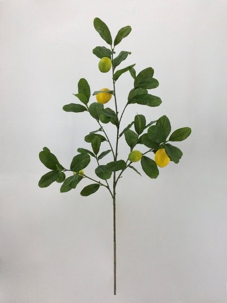 FR10073 LEMON SPRAY,46"