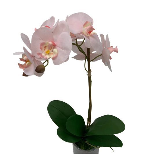 GA101211-793 POTTED ORCHID,23in