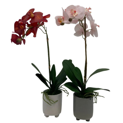 GA101211-793 POTTED ORCHID,23in