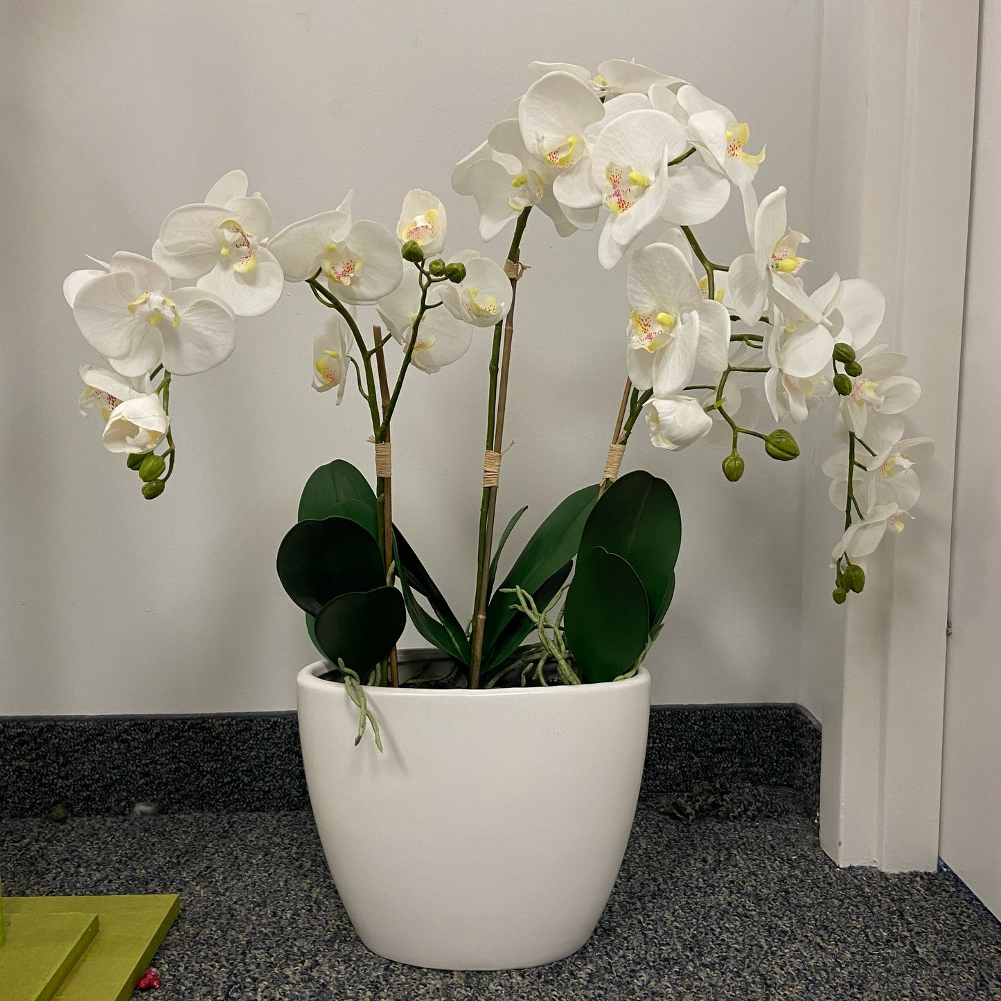 GA4043-481/482 POTTED ORCHID,29in