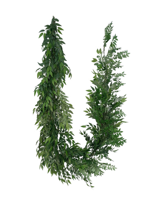 GG0542 ITALIAN RUSCUS GARLAND