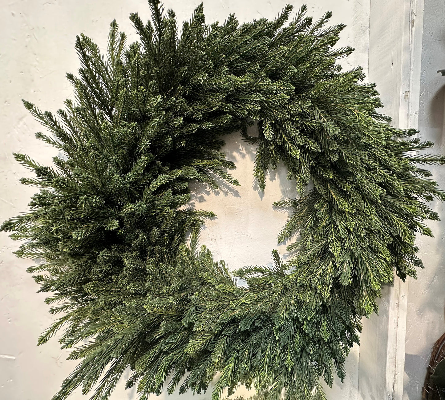 GW3448 PINE WREATH