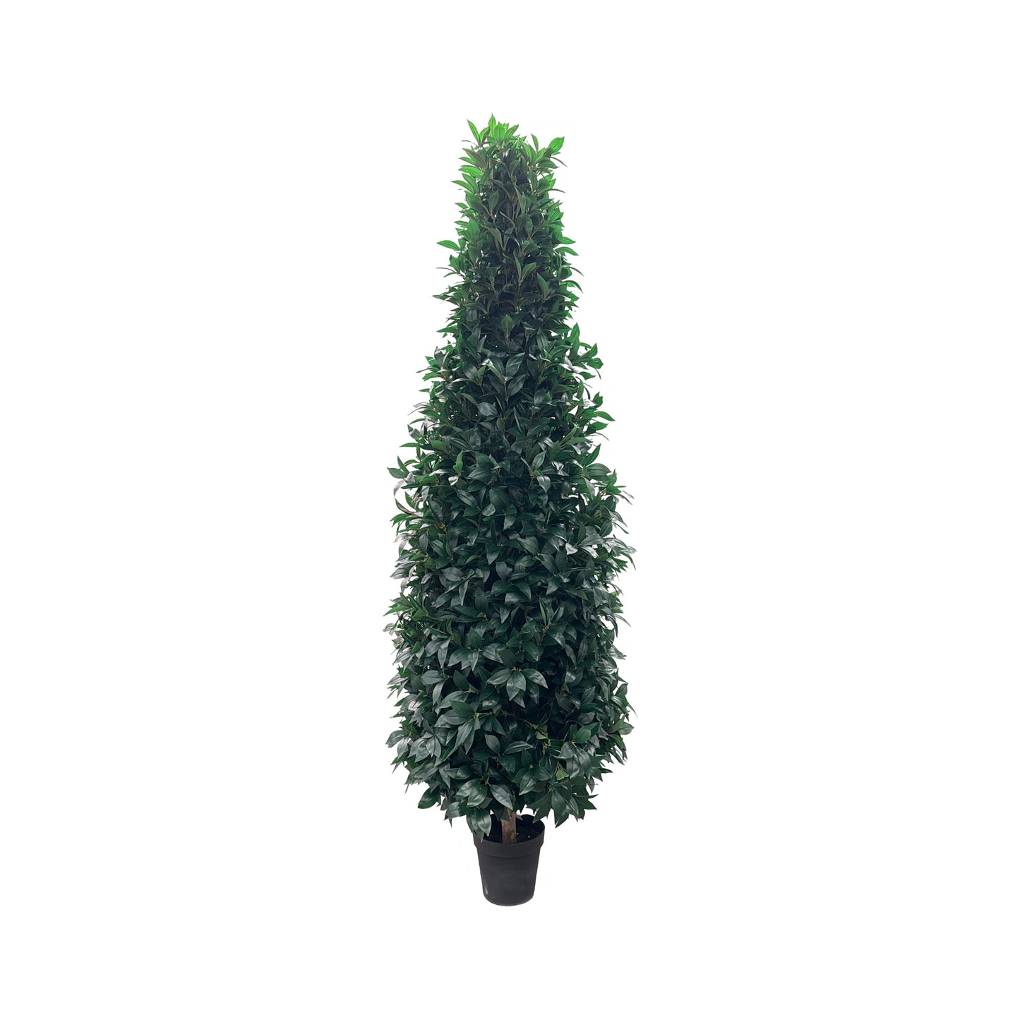 UVT1021 BAY LEAF CONE TREE (UV) 8'