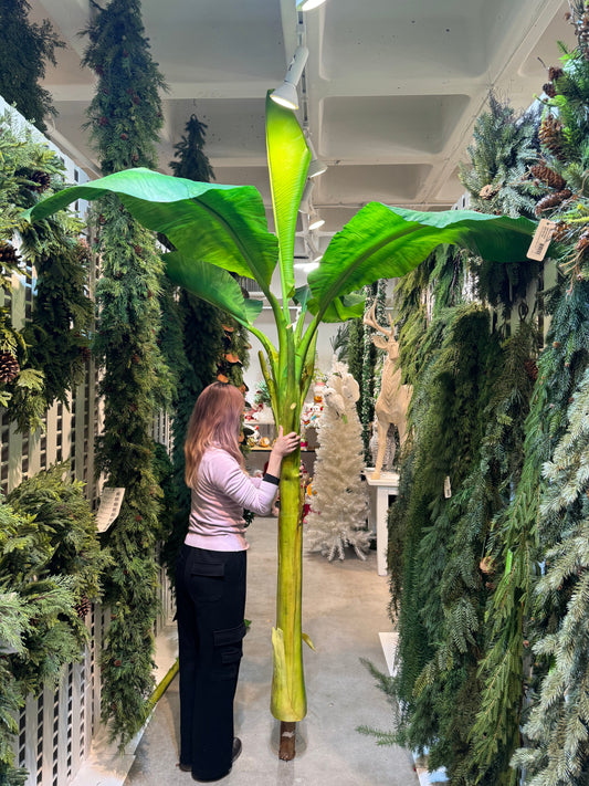 TR10496 PU BANANA TREE,9.5'-2P/9.38'