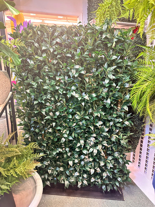 UVT1026 BAY LEAF HEDGE (UV) 6'x4'x12"