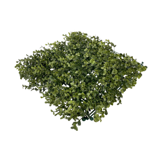 PM10331 BOXWOOD MAT,12x12in-24P