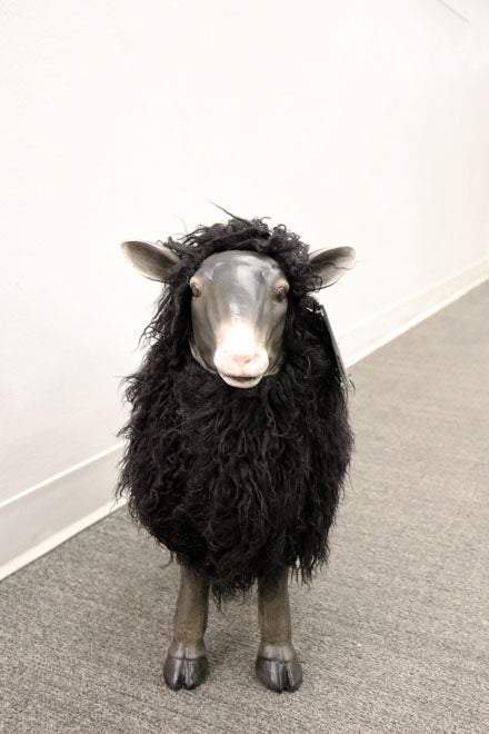IP10194 RESIN SHEEP w/HAIR 19.5"