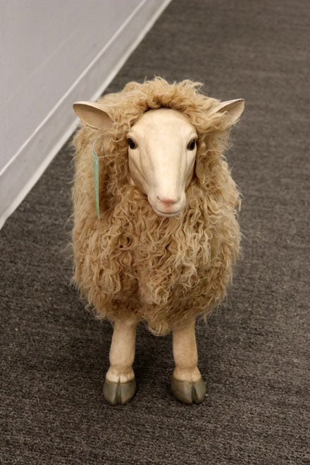 IP10194 RESIN SHEEP w/HAIR 19.5"