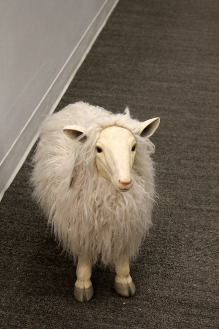 IP10194 RESIN SHEEP w/HAIR 19.5"