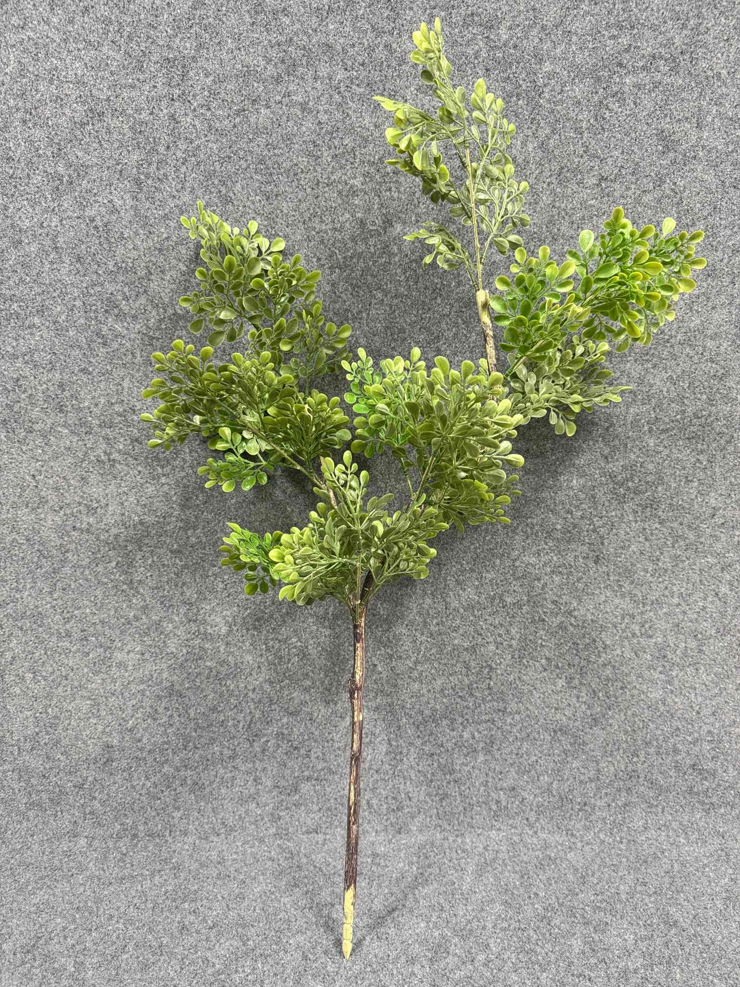 SY11203 BOXWOOD BRANCH  40"