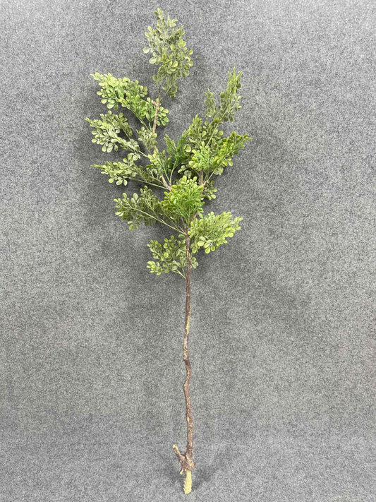 SY11204 BOXWOOD BRANCH  50"