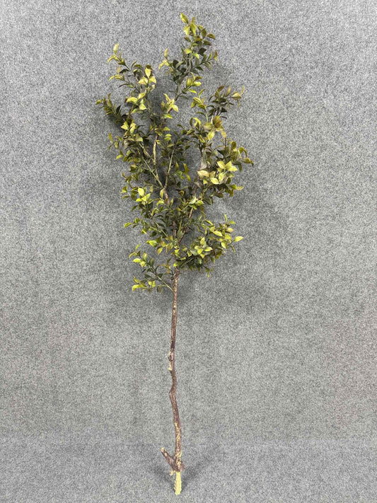 SY11202 TEA LEAF BRANCH  50"