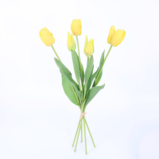 PA10172 TULIP BUNDLEx5(NAT. TOUCH),22in-12P