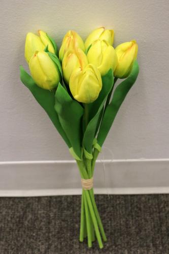 PA10203 TULIP BUNDLEx8F,17in-6BN/36/7.55'