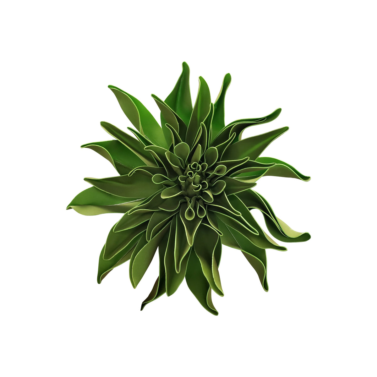 Green Import Limited Canada