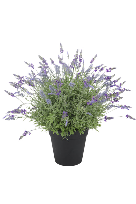 PA10389 POTTED LAVENDER 30"