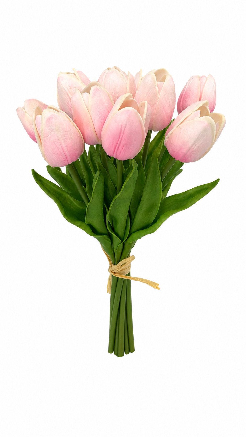 PA10404 MINI TULIP BUNDLEx12 13"