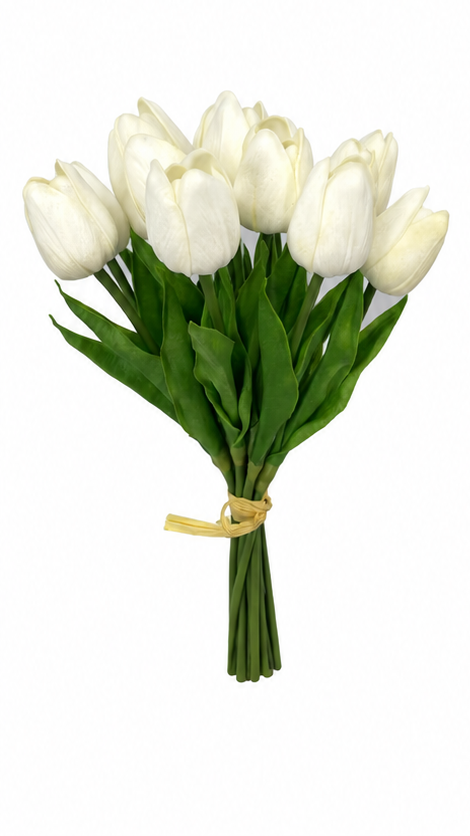 PA10404 MINI TULIP BUNDLEx12 13"