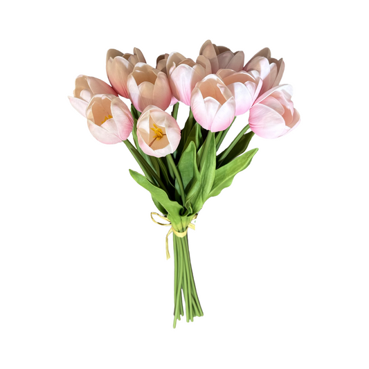 PA10405 TULIP BUNDLEx12 20"